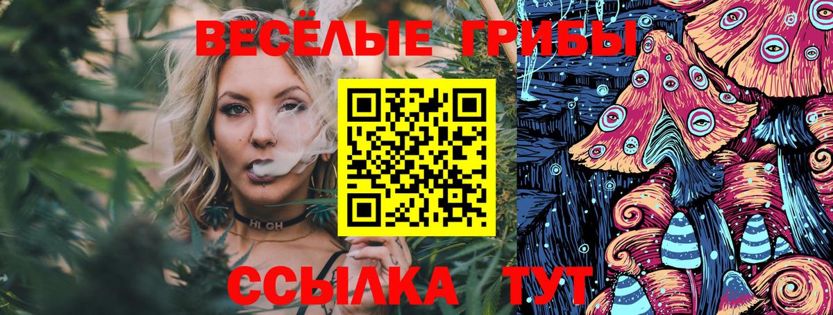 закладка  Галлюциногенные грибы Magic Shrooms  Вход с VPN  Надым 
